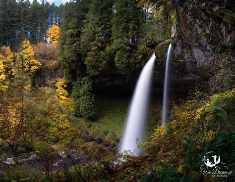 2024 Guide to North Falls, Oregon in Silver Falls State Park ⋆ We Dream ...