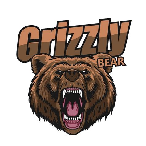 Premium Vector | Grizzly bear vector