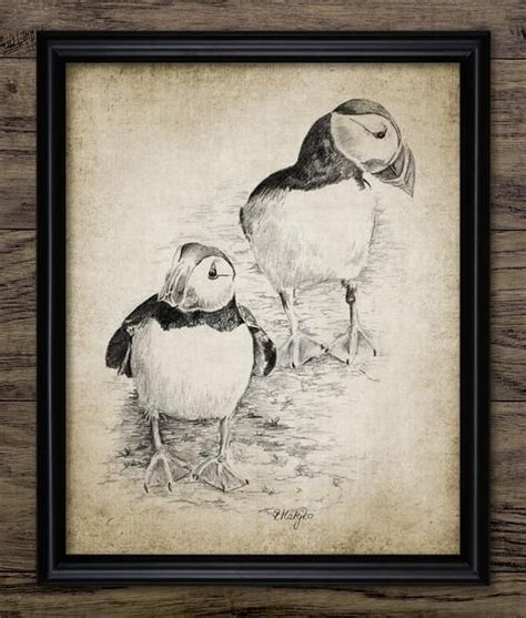 Puffin Pencil Drawing, Printable Puffin Drawing, Puffin Bird Decor, Cute Puffin Seabird Wall Art ...