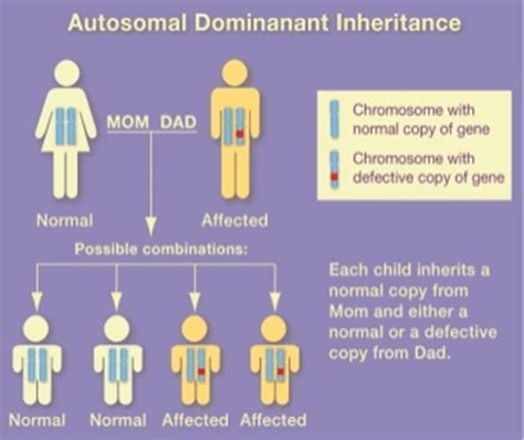 Neurofibromatosis Type-1 (NF1) – Decode Genomics