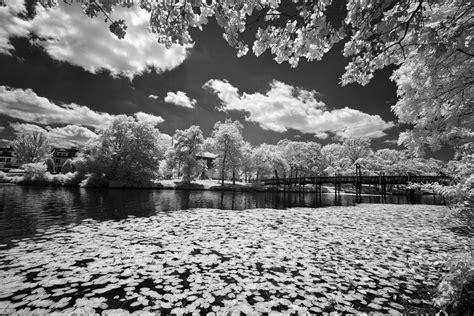 Sigma SD1 and SD15 for Digital Infrared Photography,