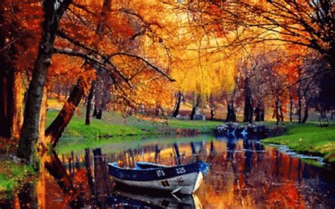 Autumn Nature GIF - Autumn Nature Beautiful - Discover & Share GIFs