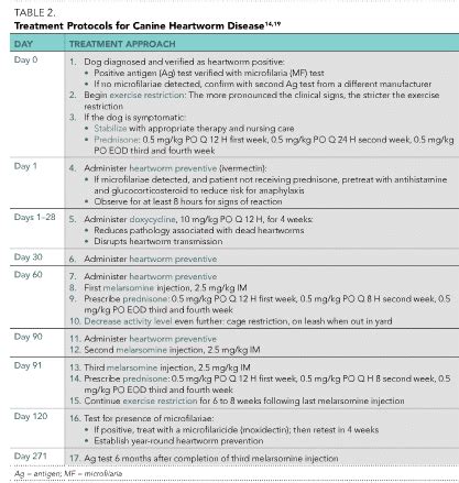 Canine Heartworm Disease: Principles of Treatment - Today's Veterinary Practice