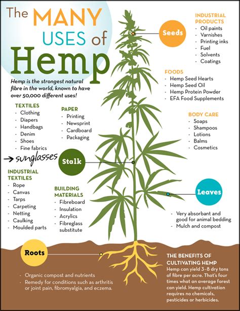 Hemp: The Source of CBD is an Unlimited Economic Resource - Cannabidiol 360