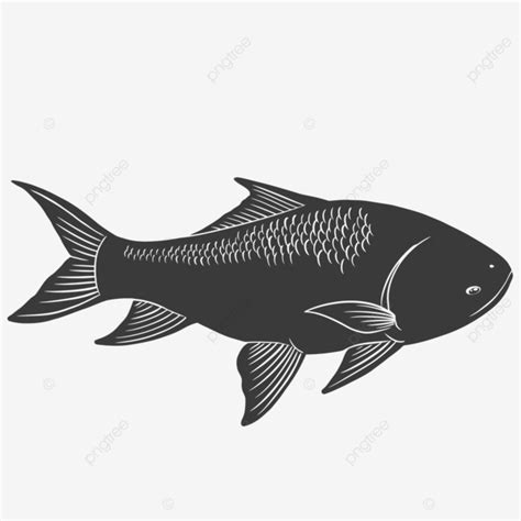 Katla Fish Indian Carp, Carp Fish, Carp Fishing, Fish Art PNG and Vector with Transparent ...