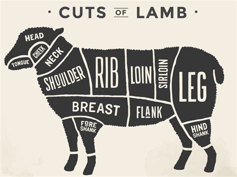 14 Lamb Cuts To Know Before Dining Out! | Chart & Guide