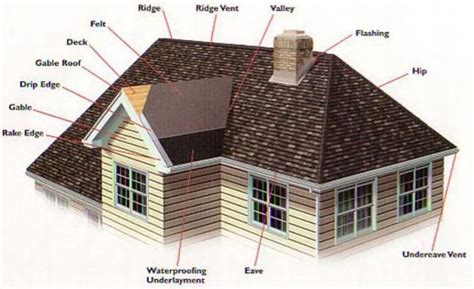 names for the parts of a roof | Roof repair, Hip roof, Gable roof