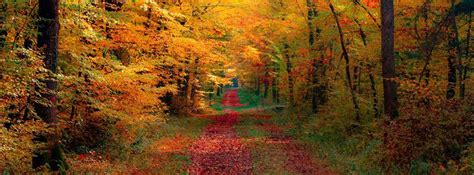 Autumn Leaf Fall Facebook Cover Free fb cover photos | decorating ideas | Pinterest | Autumn ...