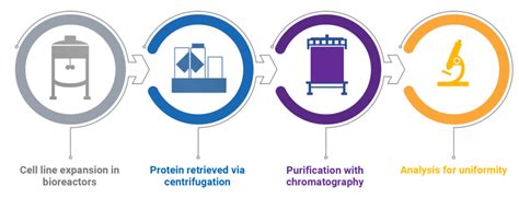 Biosimilars Manufacturing - Biospecialized