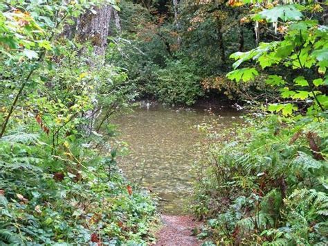 Beckler River Campground, Mt. Baker-Snoqualmie National Forest ...