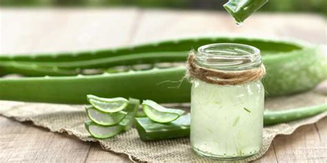 7 Best Aloe Vera Juice of 2024 in India, According To Experts