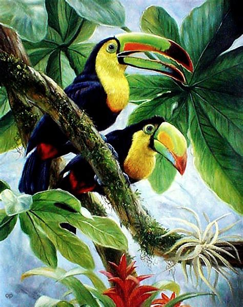 Pin by Anna Bowman on The Greatest Bird | Parrots art, Toucan art ...