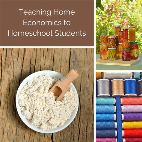 Planning to include home economics as part of your homeschool curriculum? This guide includes ...