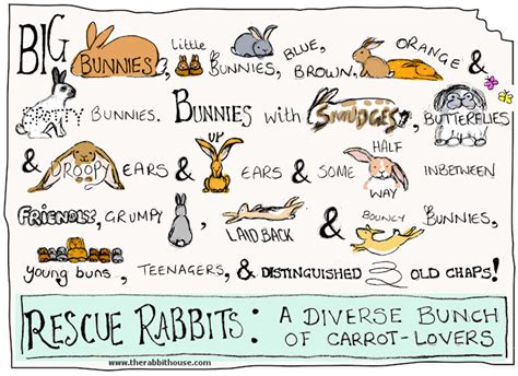 5 Reasons NOT to Adopt a Rescue Rabbit