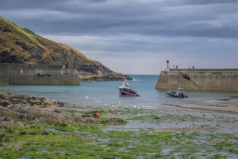 Port Isaac Fishing Photograph by Martin Newman | Fine Art America