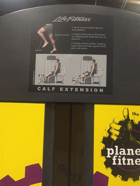 Calf extension | Planet fitness workout, Calves, Fitnes