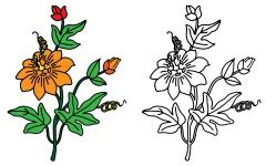 Flowers Clipart Coloring Page Free Stock Photo - Public Domain Pictures