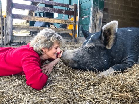 World Day For Farmed Animals | Catskill Animal Sanctuary