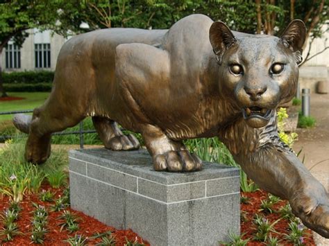 The University of Houston brings back the live cougar mascot — wit ...