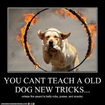 Teaching With Moxie: Teaching the Old Dog New Tricks