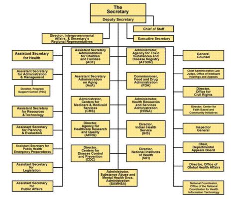 Hhs Organizational Chart | amulette