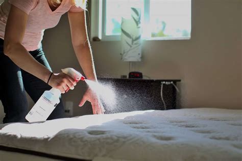 How to Clean Your Mattress - Lucid