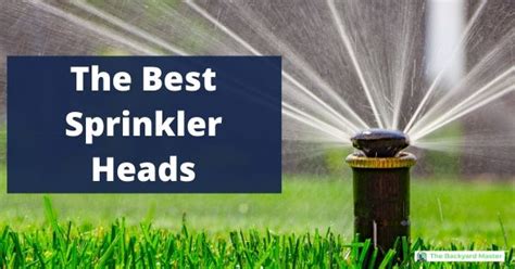 The Best Sprinkler Heads for Your Lawn: 2022 Reviews and Buying Guide - The Backyard Master