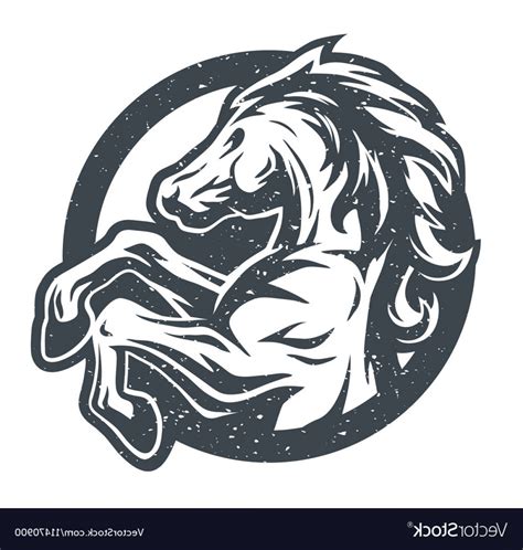 Stallion Vector at Vectorified.com | Collection of Stallion Vector free ...