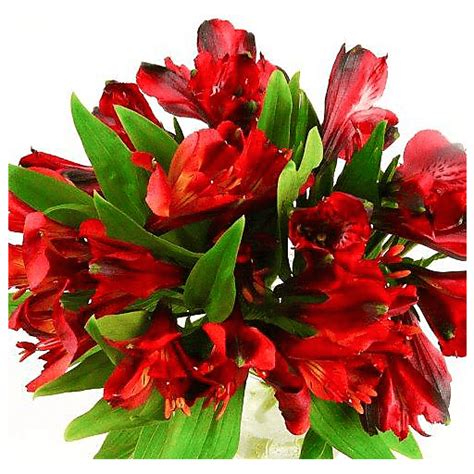 Alstromeria Bunch | Fresh Flowers | Sendik's Food Market