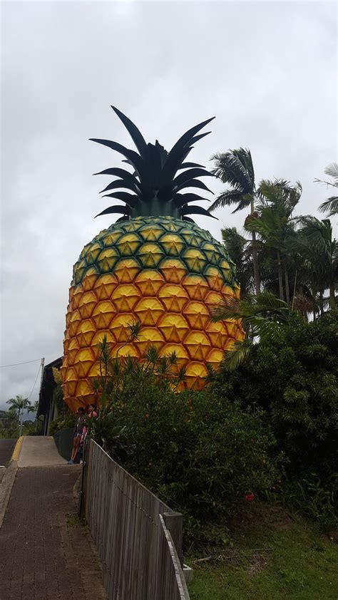 The Big Pineapple...one of the most iconic big attractions is still going strong. : r/australia