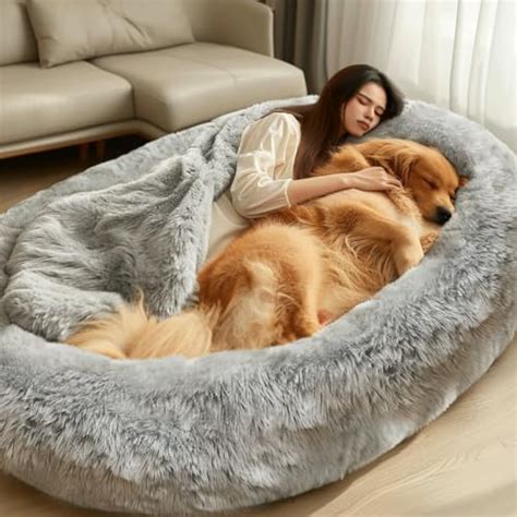 I Tried the Human Bed Extension for My Dog and Here's What Happened!