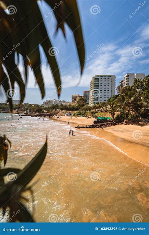 A beach in Dakar, Africa stock image. Image of palm - 163893395