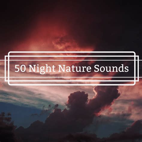 ‎Apple Music 上Night Mood的专辑《50 Night Nature Sounds - Personal ...