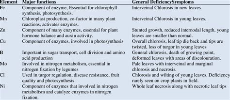 Micronutrient functions and deficiency symptoms in plants | Download Scientific Diagram