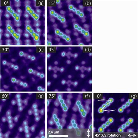 In a), b), c), d), e) and f), the SHG microscopy images of the G-shaped... | Download Scientific ...