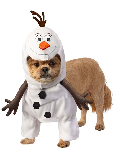 Dog Frozen Olaf Costume