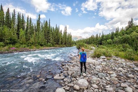 Top 10 Hikes in Denali National Park & Preserve – Earth Trekkers