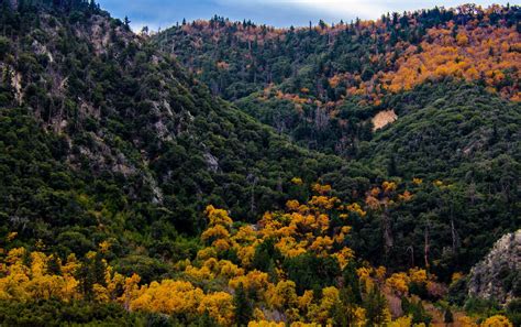 San Bernardino County, CA | Data USA