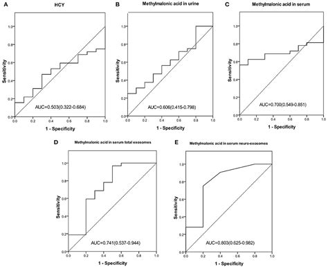 Frontiers | Methylmalonic acid levels in serum, exosomes, and urine and ...