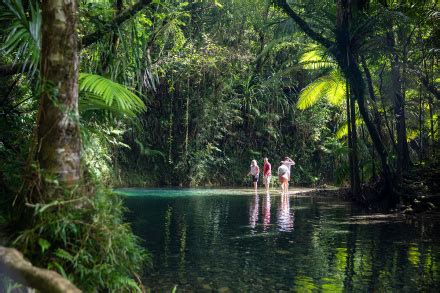 Largest Forest in the World, List of Top 10