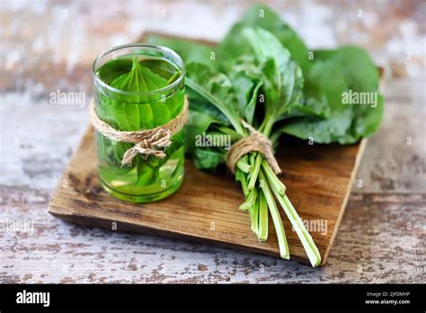 Plantain drink in a glass. Fresh leaves of plantain. Therapeutic tea of plantain Stock Photo - Alamy