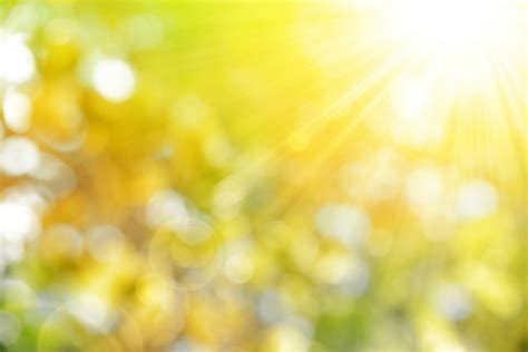 10 Steps to Sun-Drying Fruits and Vegetables the Old-School Way