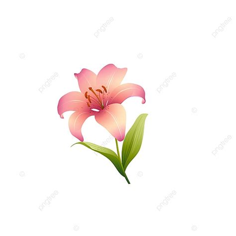 Bitmap, Realistic Flowers, Plant Photography, Flowers PNG and Vector ...