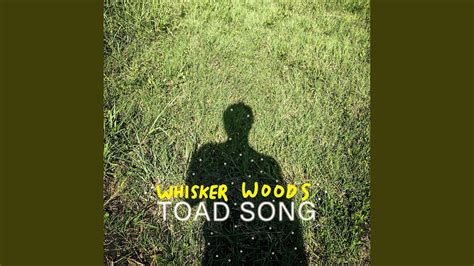 Toad Song - YouTube