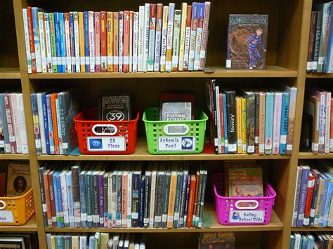 series baskets | School library organization, Library signage, School library displays