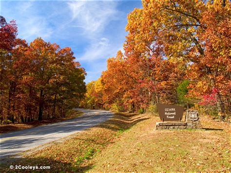 54 Ozarks fall foliage photos - 2Cooleys roadside foliage pics