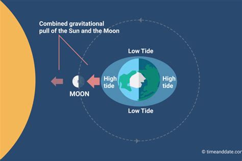 The Moon Causes Tides on Earth