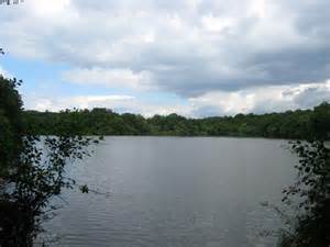 Balcombe Lake © Simon Carey :: Geograph Britain and Ireland