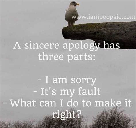 Sincere apology quote" 3 parts: . I am sorry . It's my fault .What can I do to make it right ...