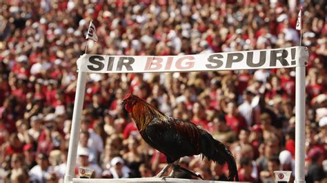 The University of South Carolina changing its mascot's name over rooster care dispute